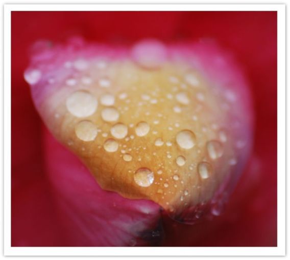 Dans mon coeur il a plu