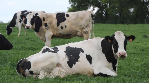 C'était ma banlieue