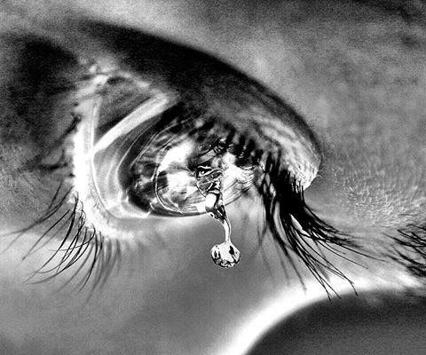 Vivre au delà de tout