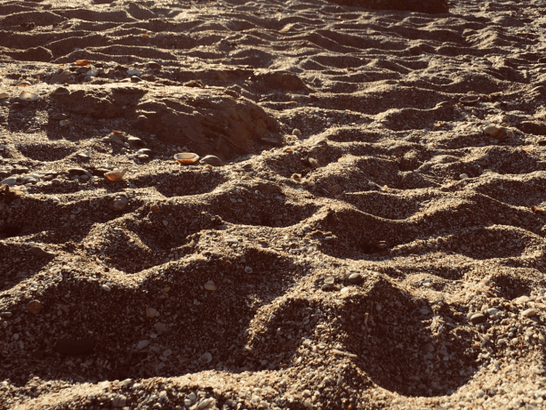 Paradoxes de la différence